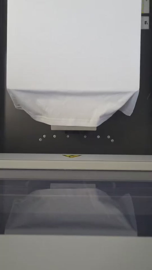 T-shirt Francis 4L | Parodisiaque